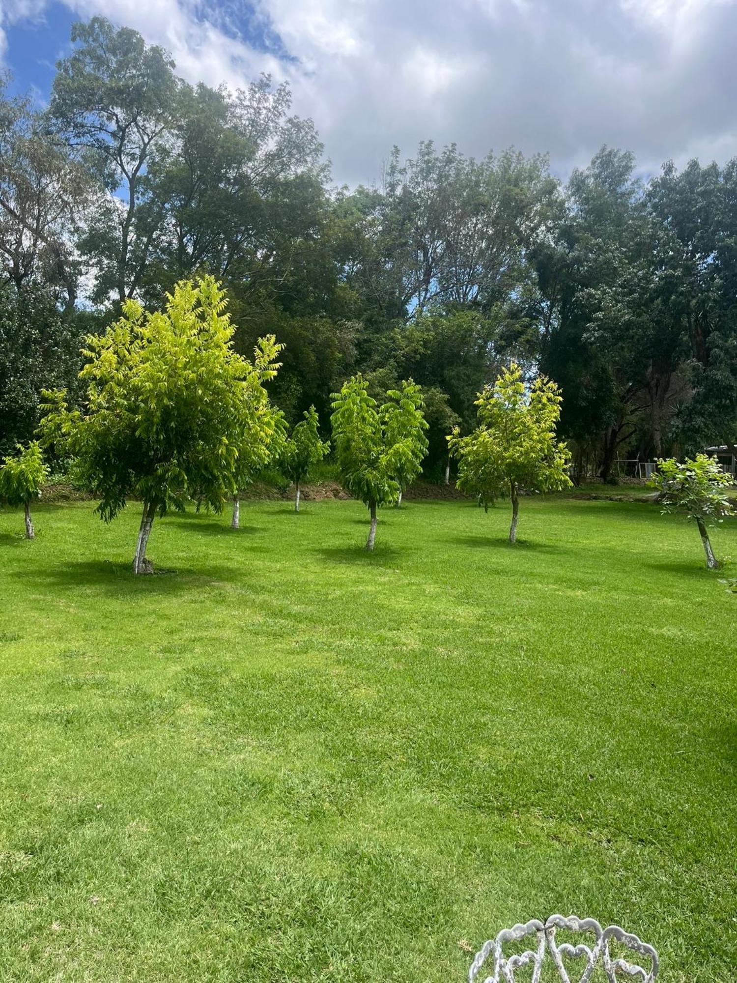Cabanas Cumbres De Aguacatitla Huasca de Ocampo Exterior photo